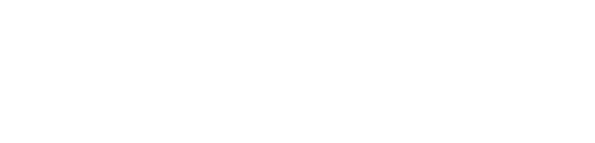 Baltimore Logo