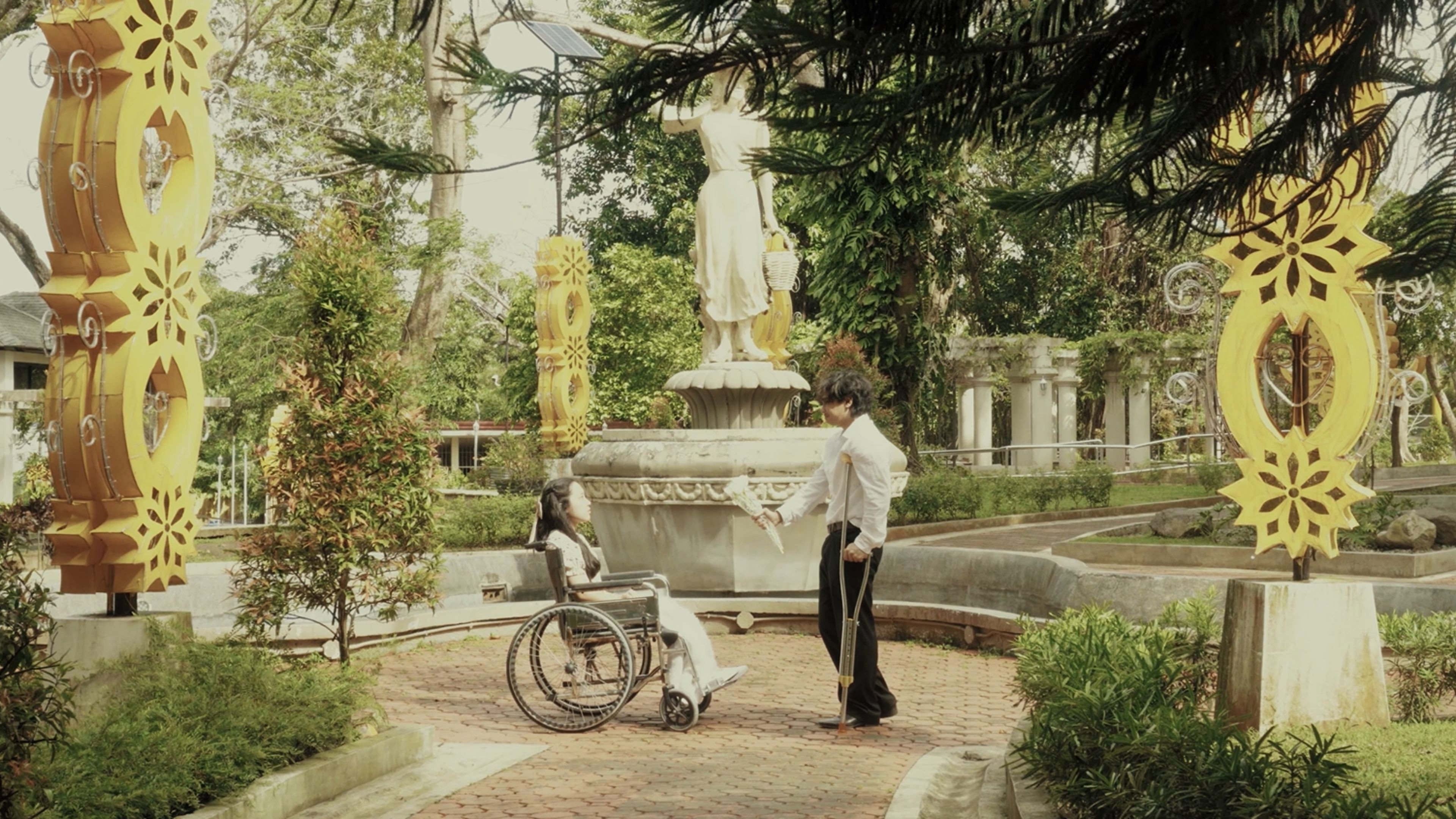 Can A Flower Forgive?