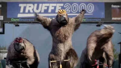 Les Marmottes - Cyclisme