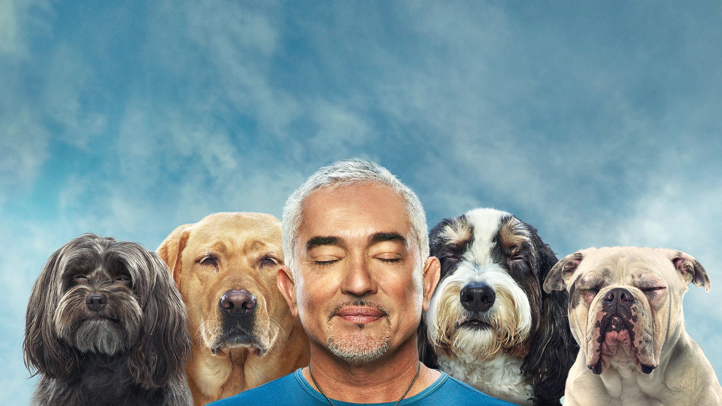 Cesar Millan: Mejores Humanos, Mejores Perros - Season 4 Episode 9