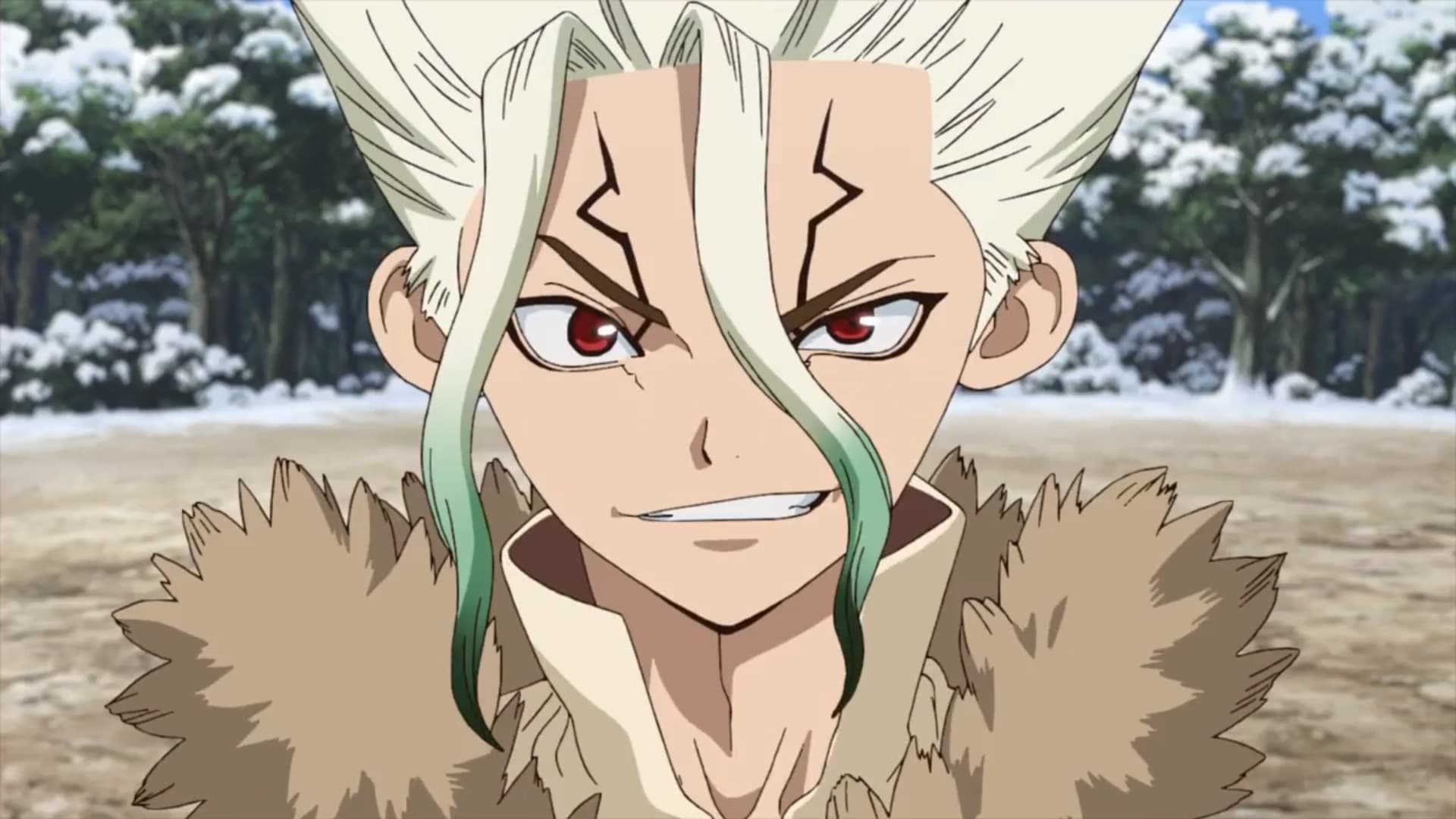 Dr. STONE