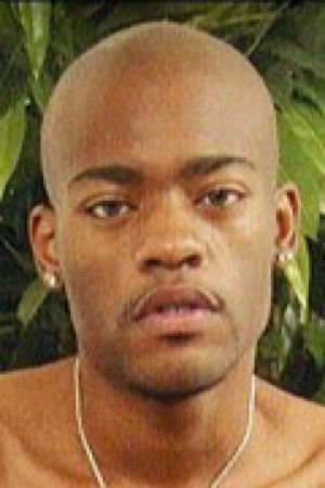 et billede af Anaconda