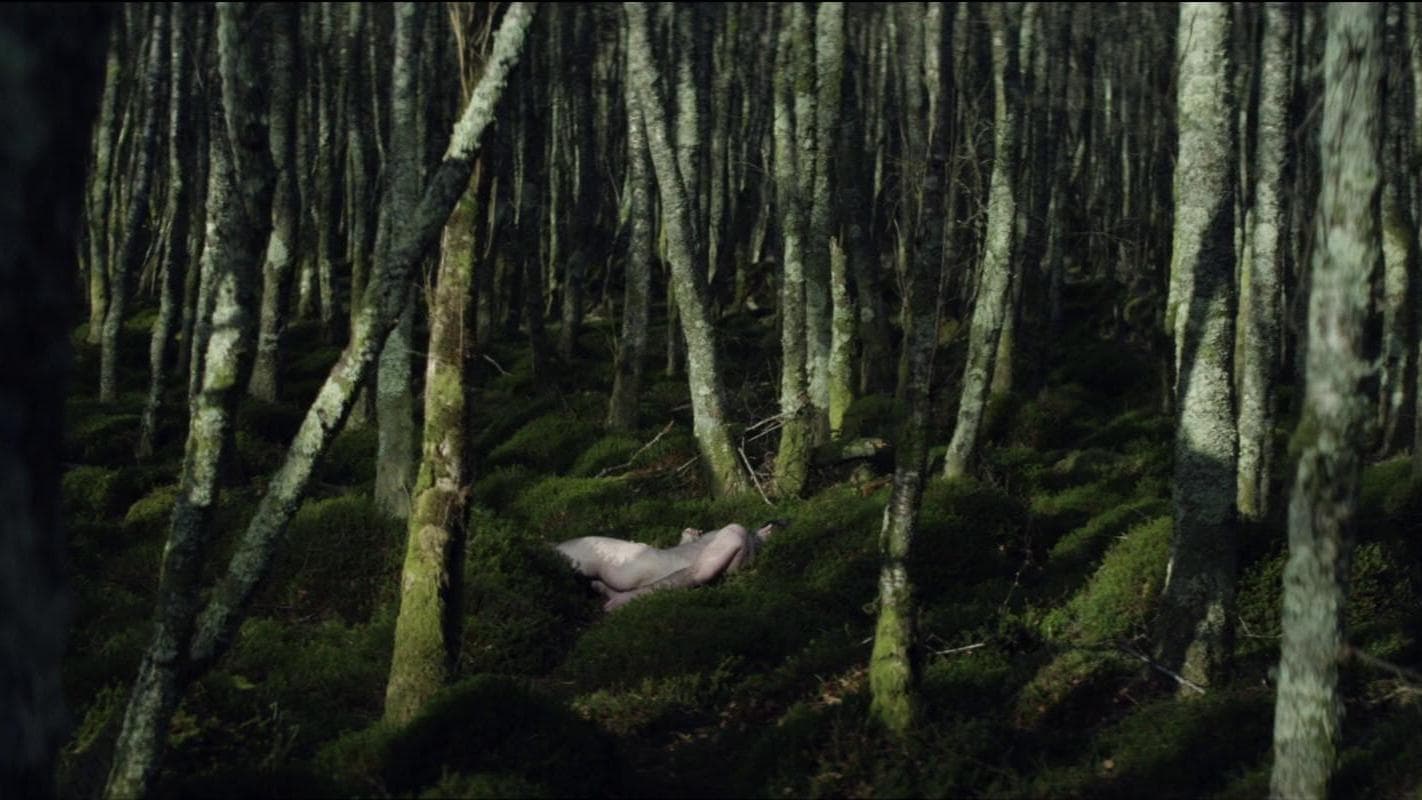 Without Name (2017)