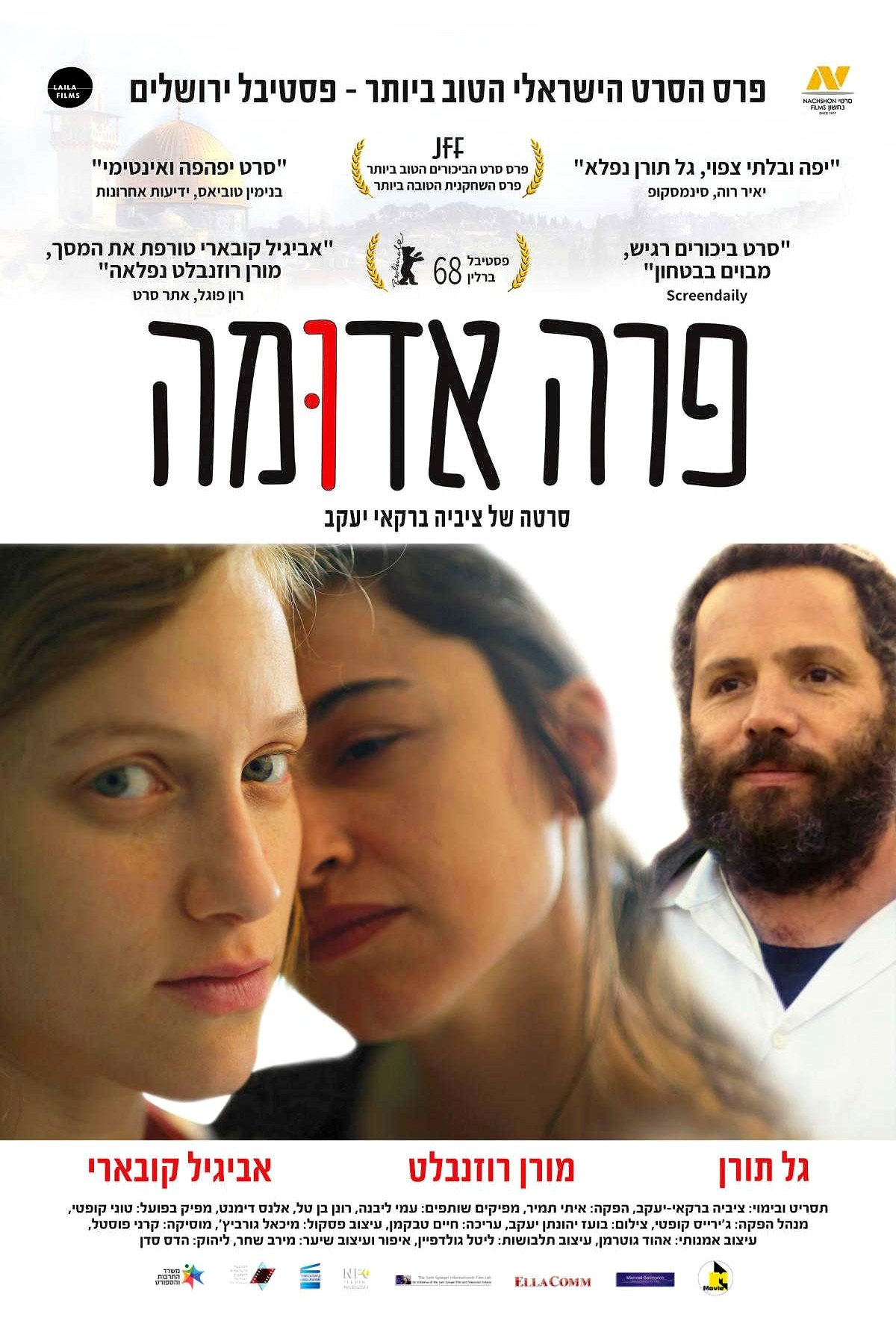פרה אדומה פרה אדומה