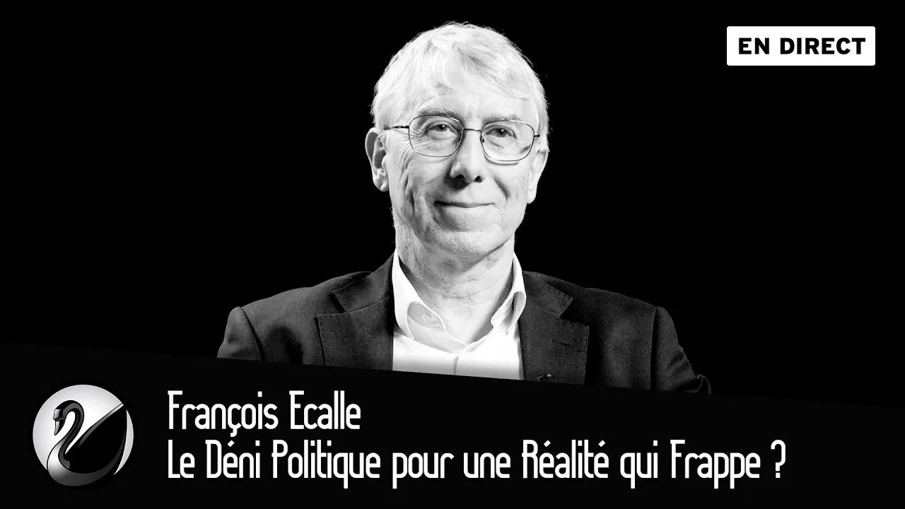 Thinkerview - François Ecalle : Le Déni Politique pour une Réalité qui Frappe ?