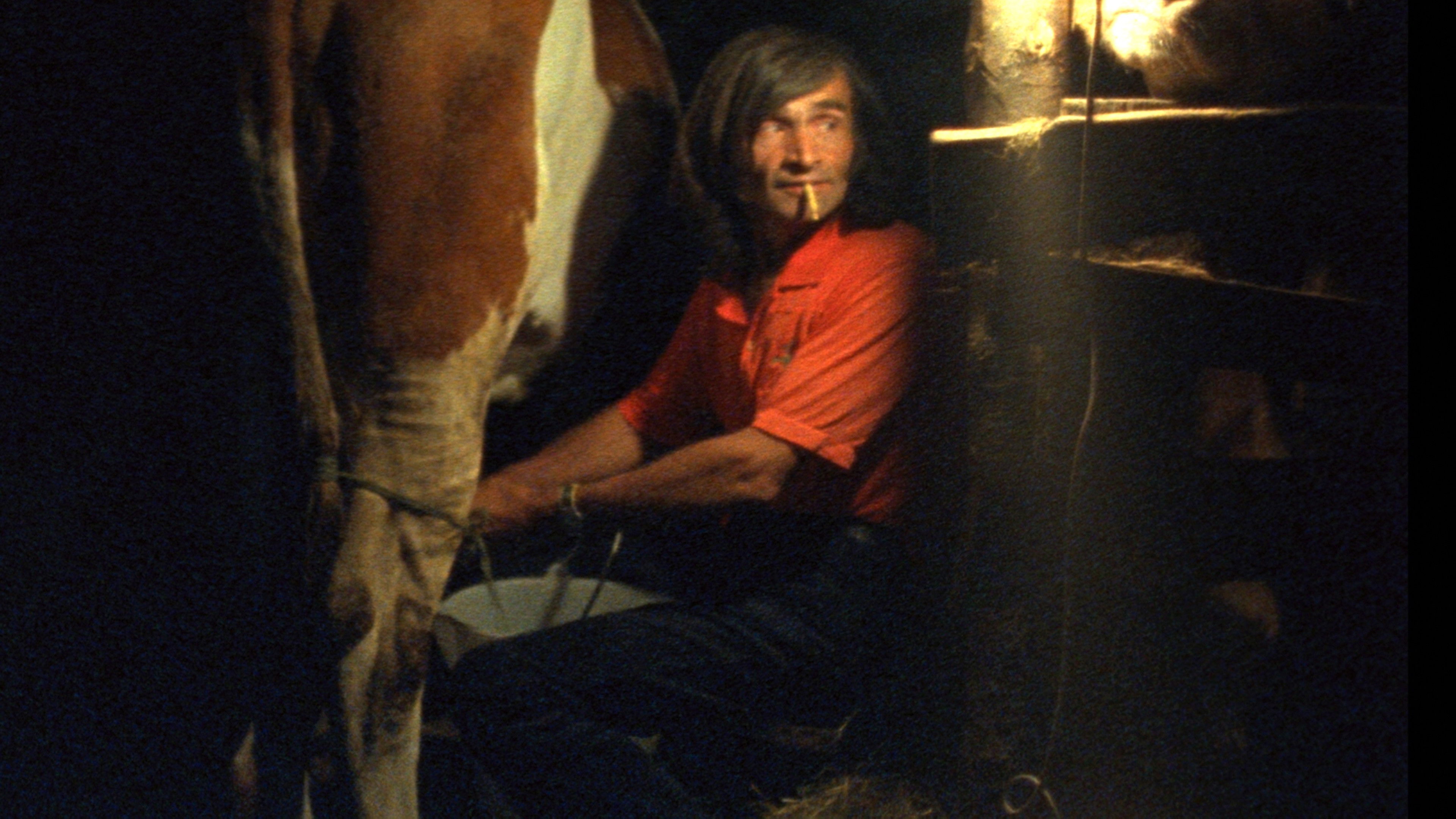 Profils paysans : le quotidien