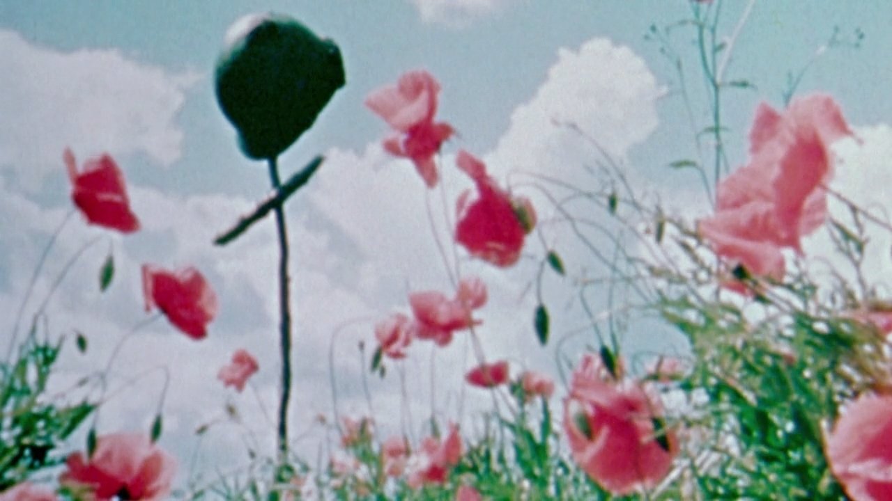 Episode 26