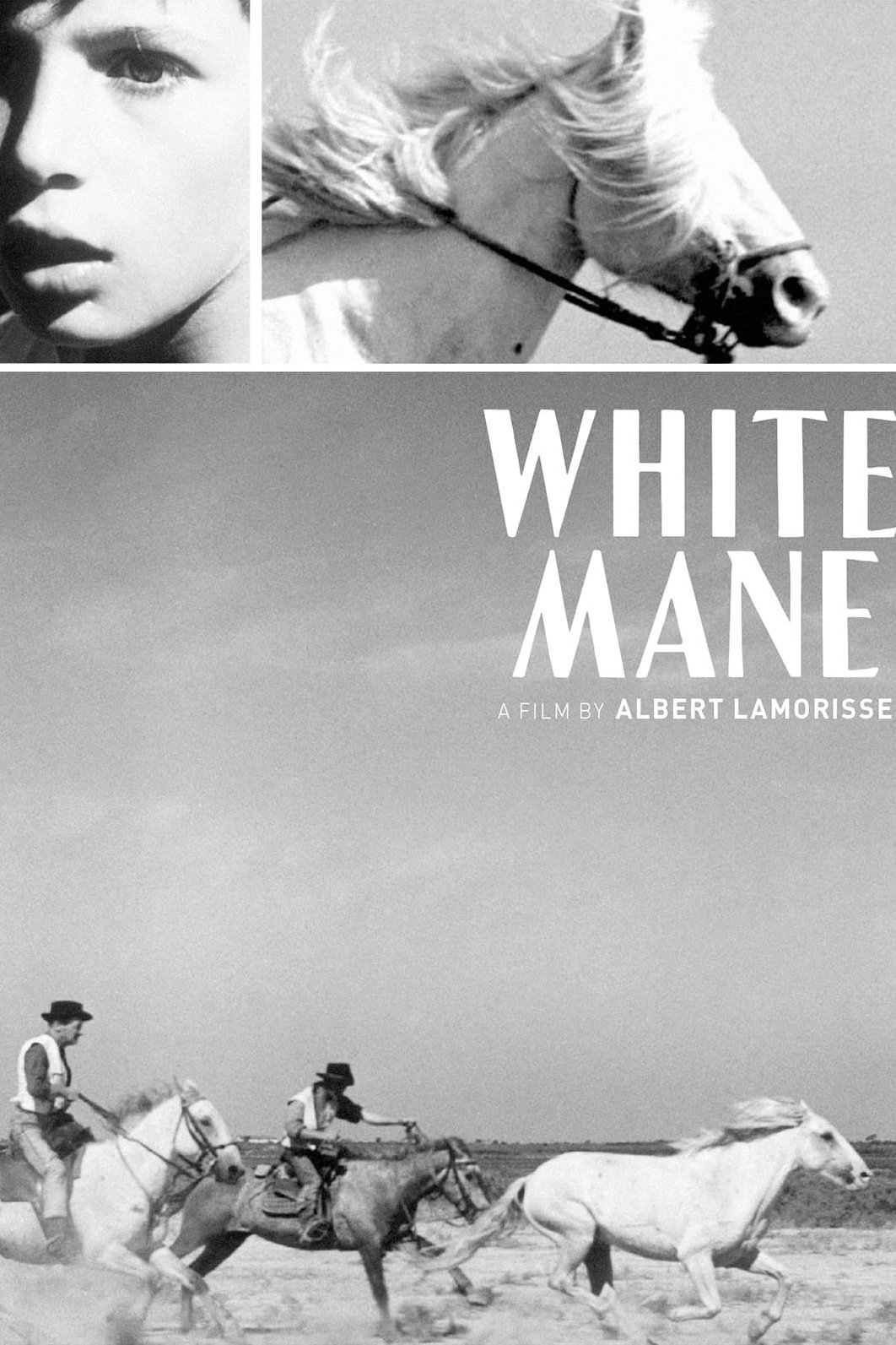 White Mane