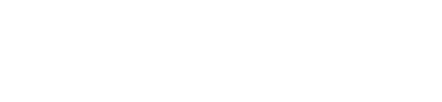 Baby Fever Logo