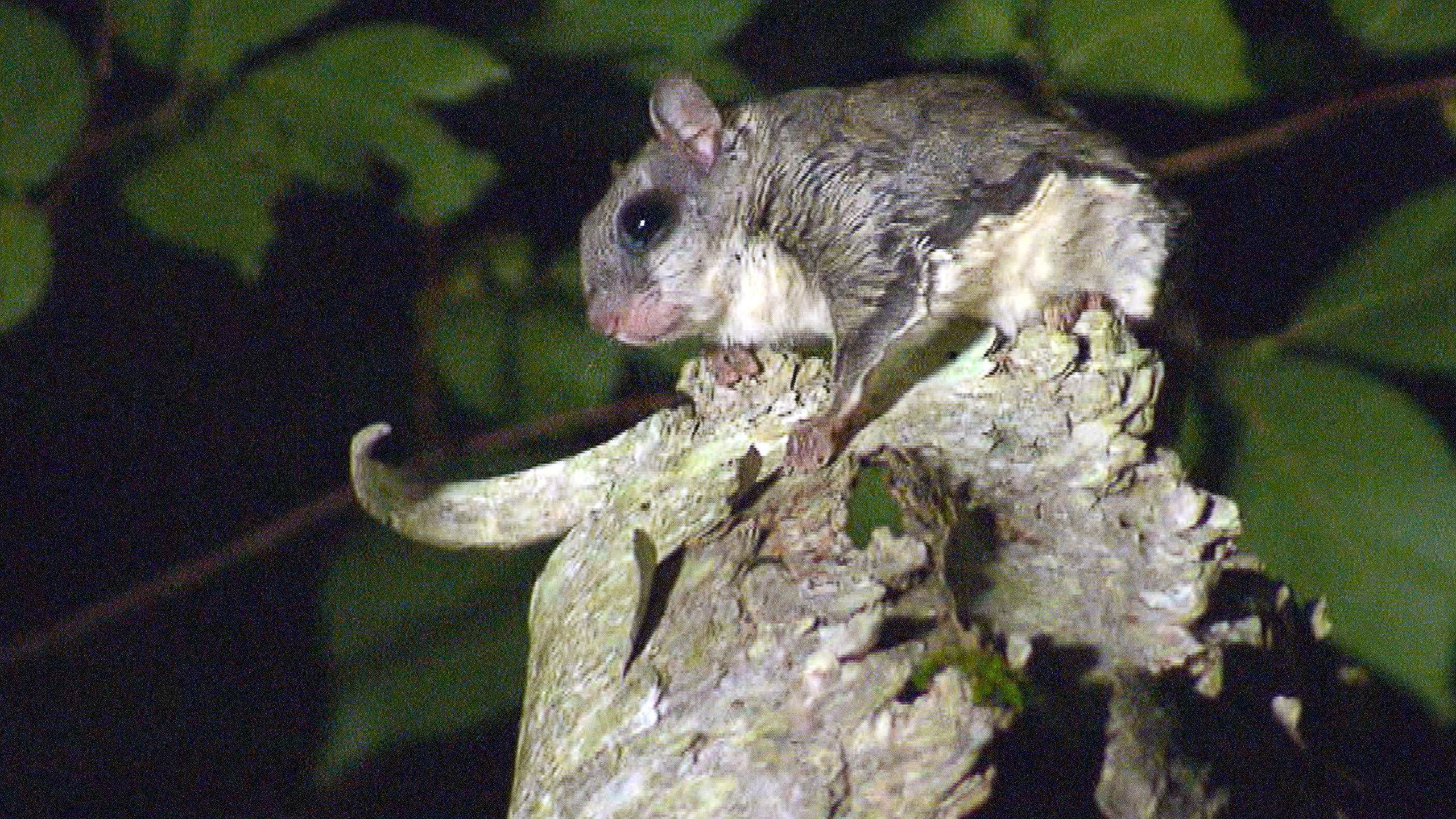 Great Lakes Wild S01E07 backdrop