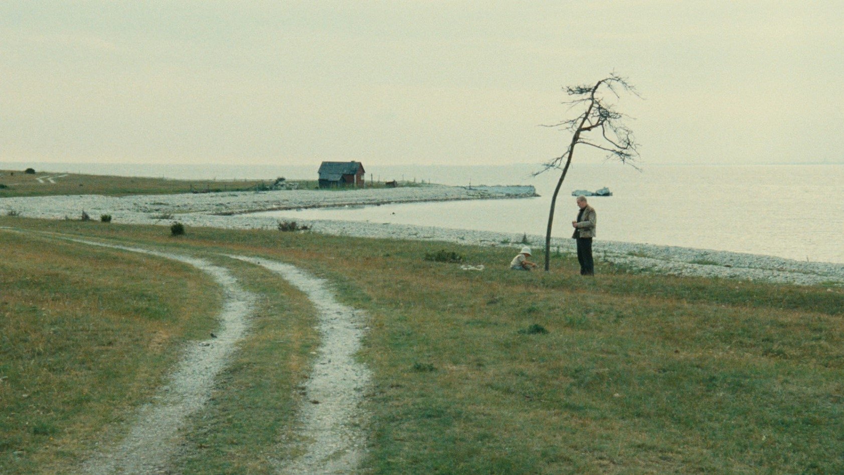 The Sacrifice (1986)