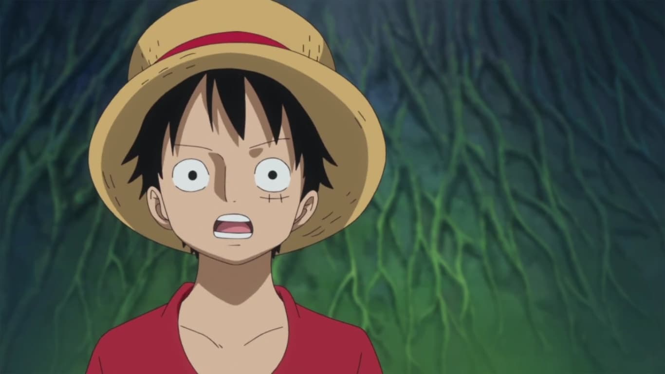 One Piece - Season 18 Episode 771 : A Vow Between Two Men - Luffy and Kozuk...