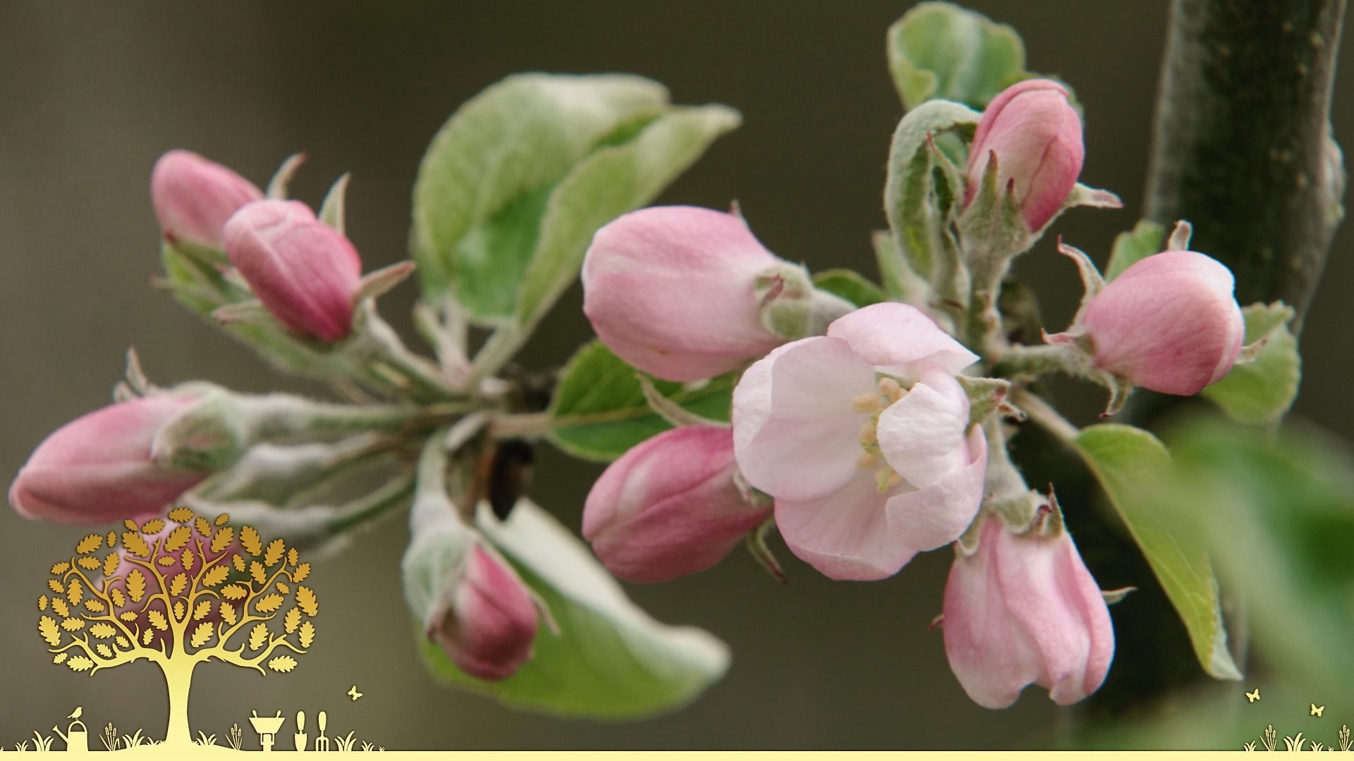 Gardeners' World 54x8