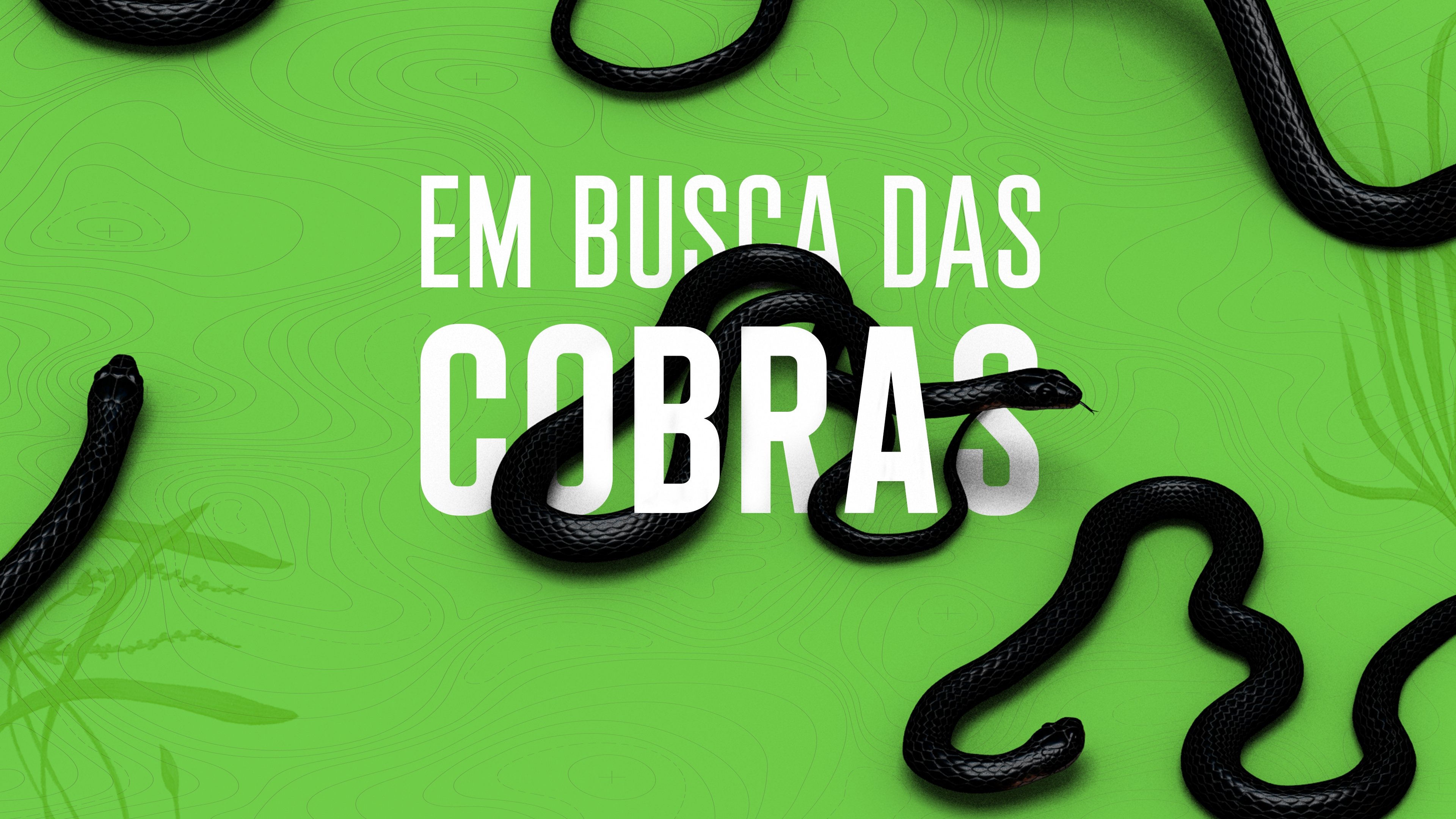 Rato, Vini and Snakes