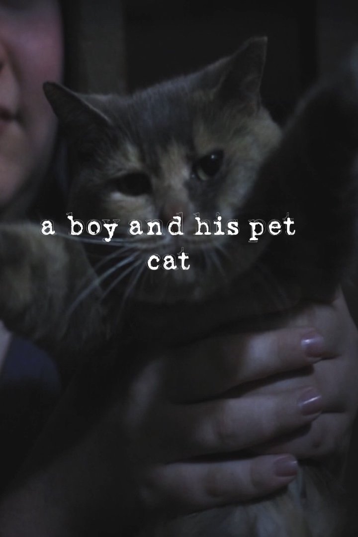 a boy and his pet cat a boy and his pet cat
