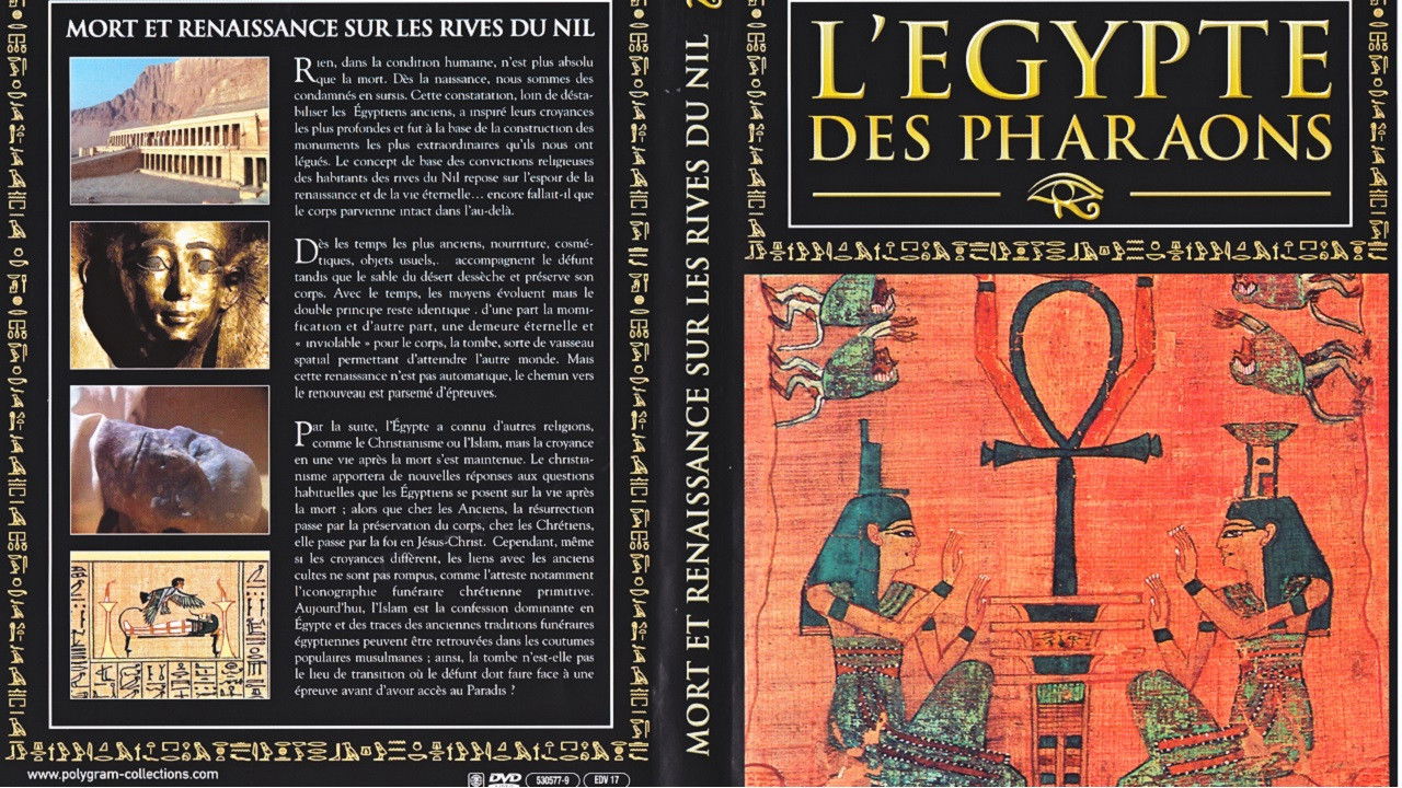 Thumbnail for Episode 50 Season 1 Episode 50