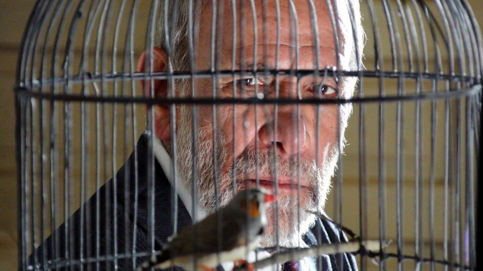 Khibula (2017)