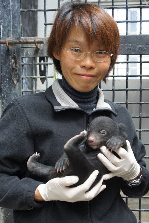 et billede af Mei-Hsiu Hwang