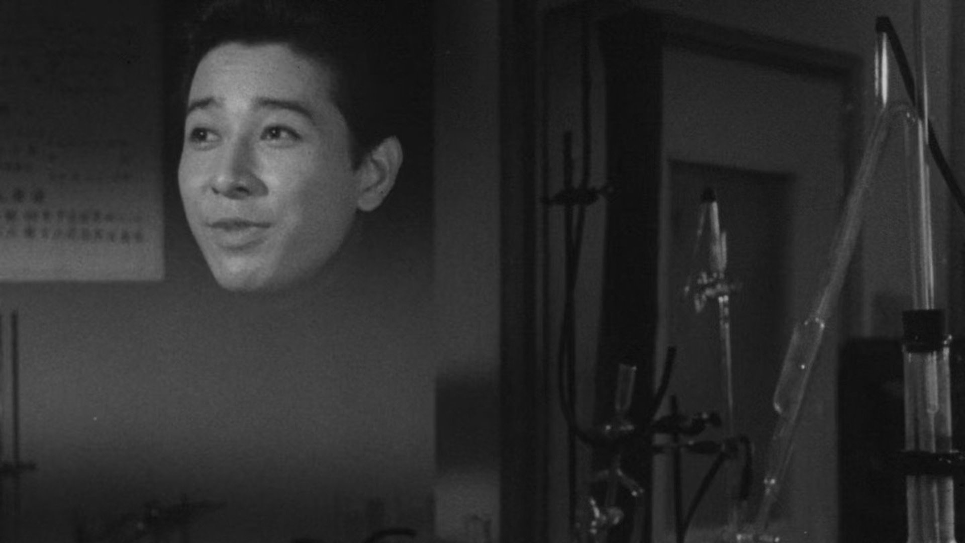 The Invisible Man vs. The Human Fly (1957)