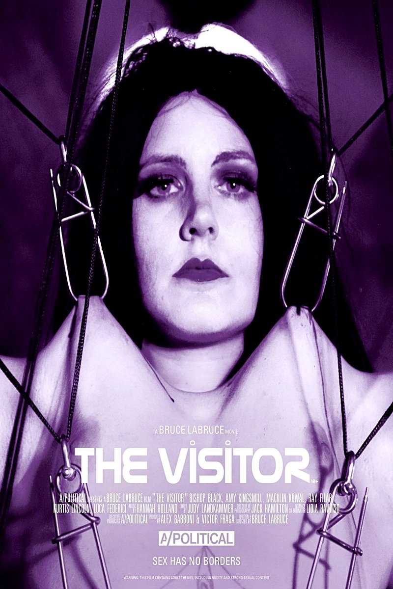 The Visitor
