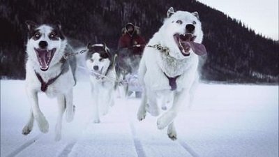 Life Below Zero