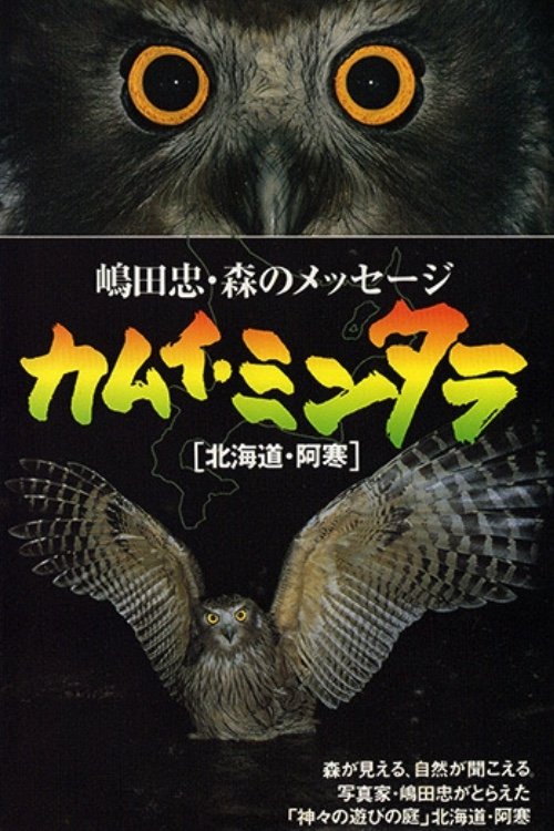 カムイ・ミンタラ 嶋田忠・森のメッセージ [北海道・阿寒]