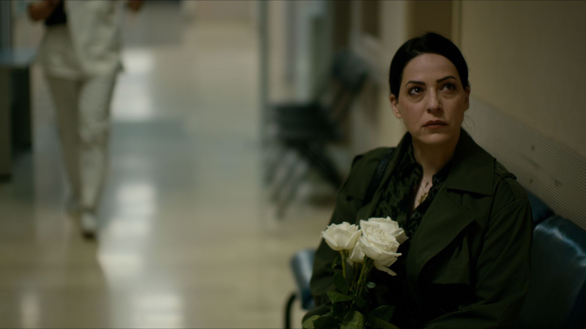 Secret of the Forest