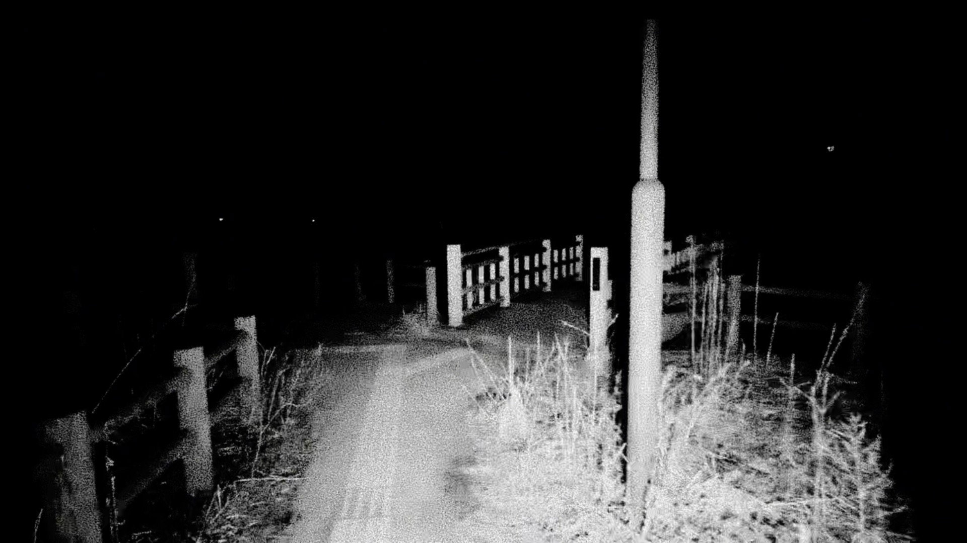 Purgatory for Epiphanea