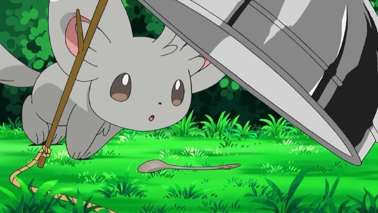 Pokémon Season 14 :Episode 13  Minccino-Neat and Tidy!