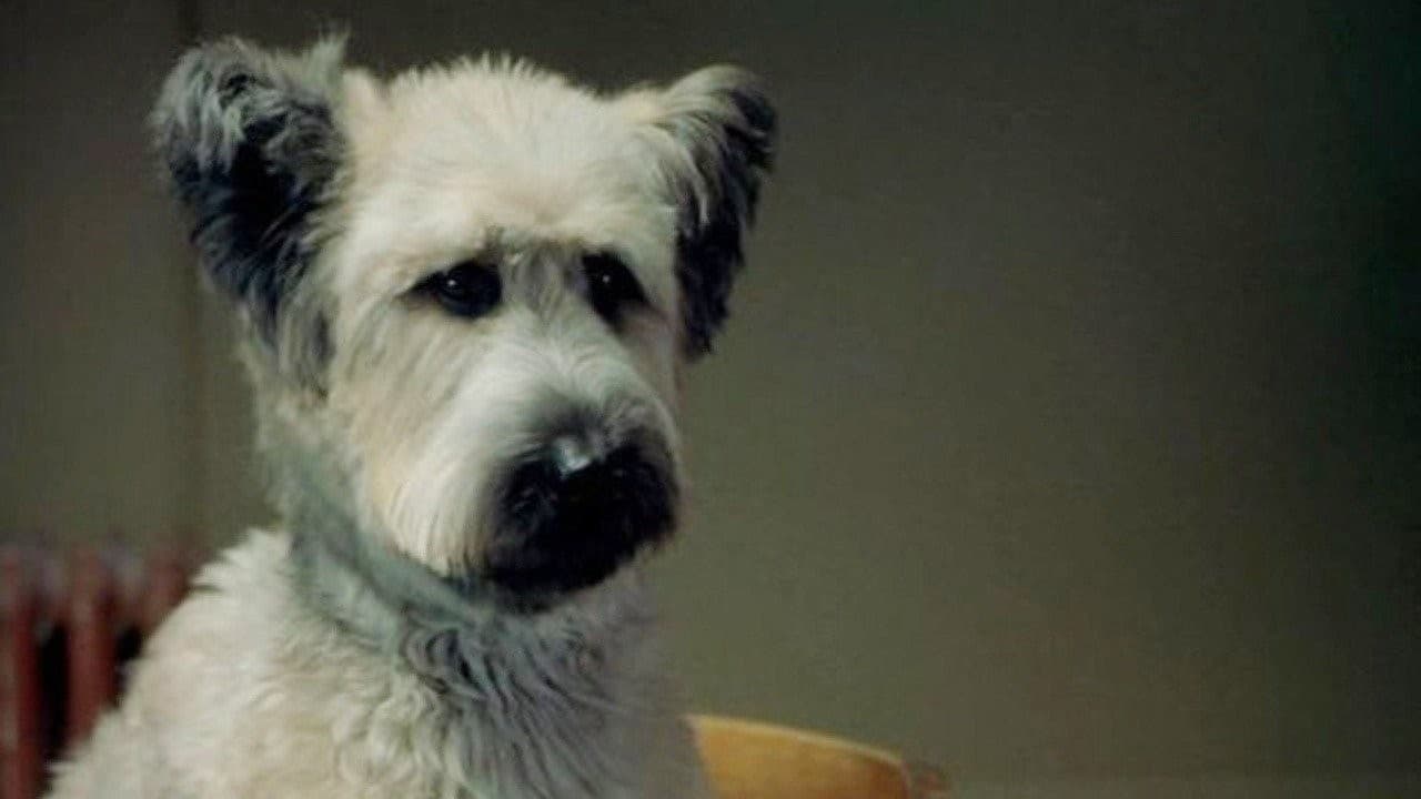 The Karate Dog (2006)