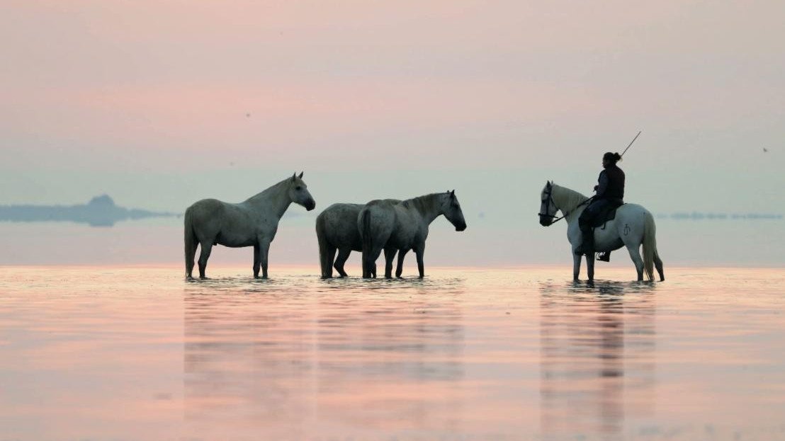 Thumbnail for Episode 4 Season 1 Episode 4