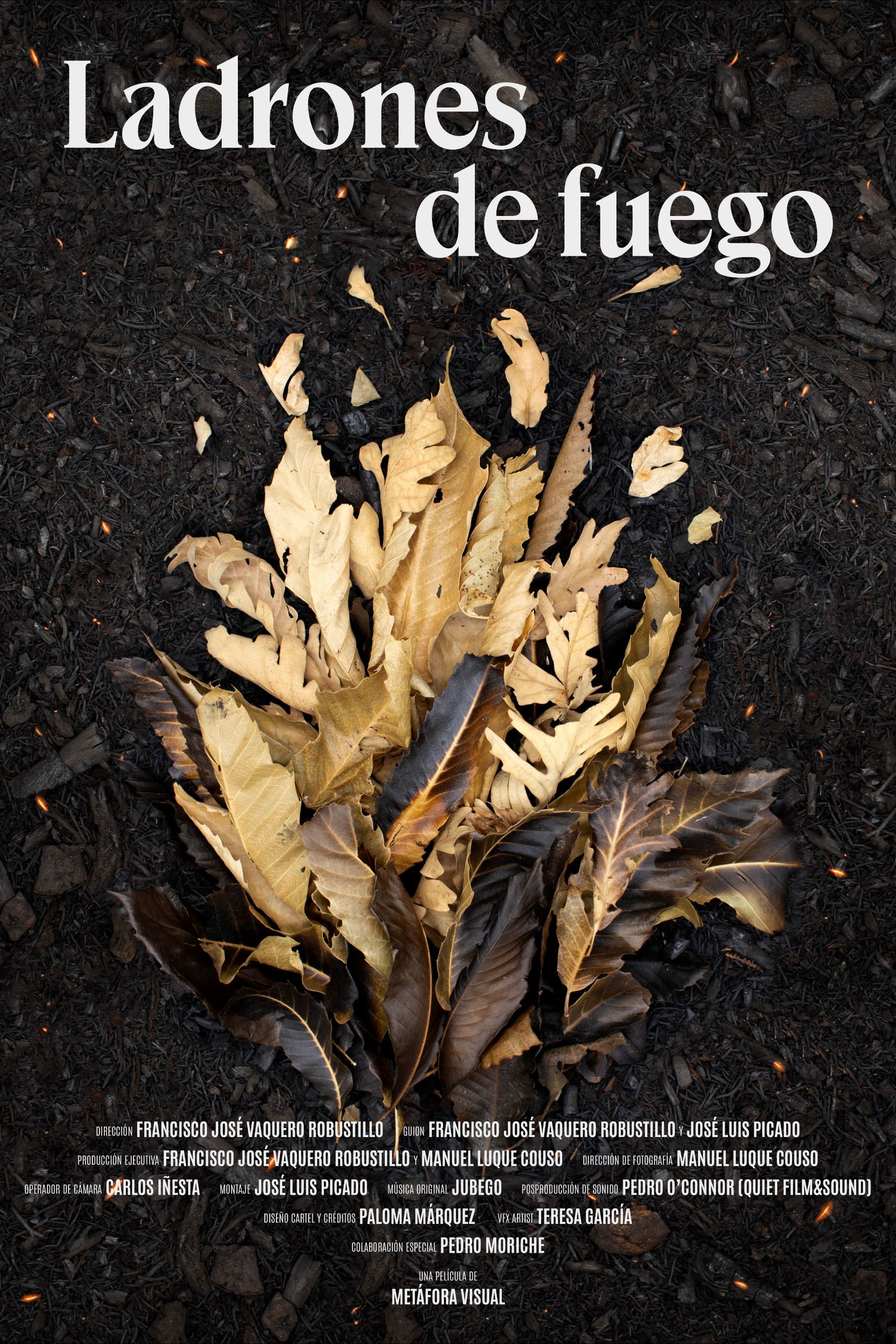 Ladrones de fuego Poster
