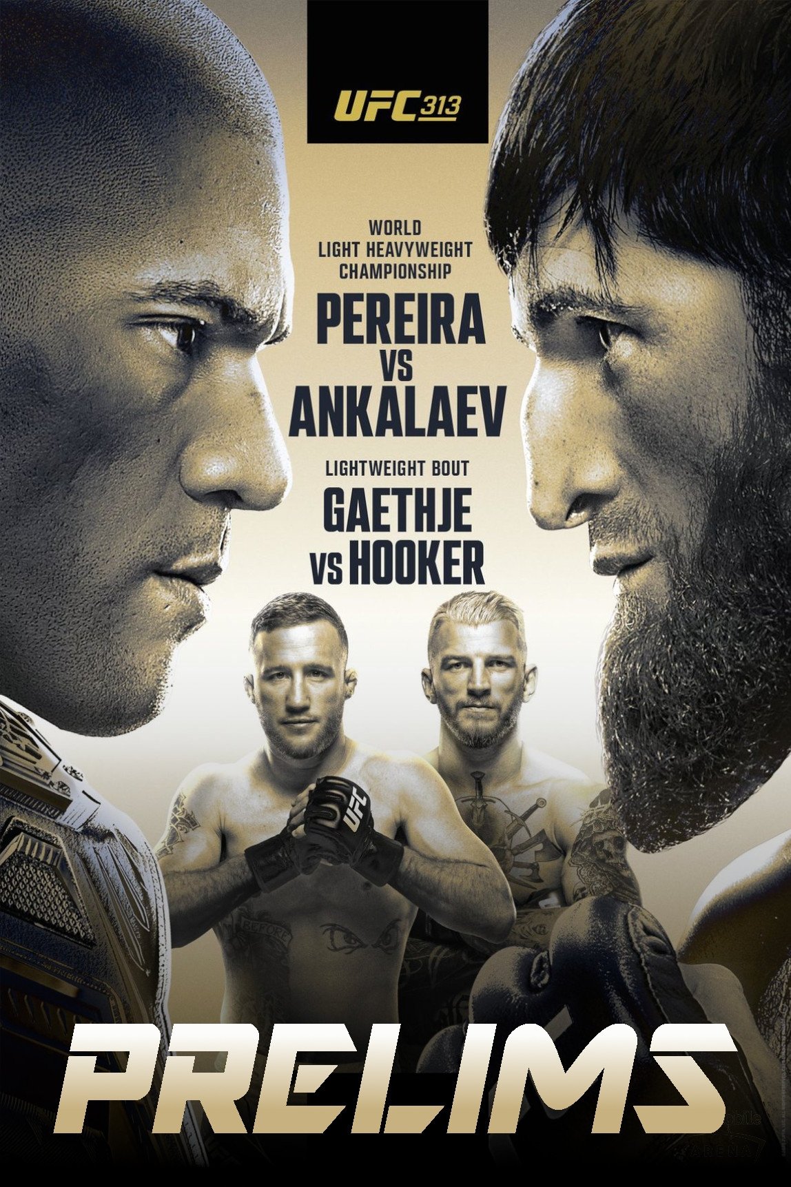 UFC 313: Pereira vs. Ankalaev