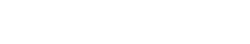 Nemesis Logo