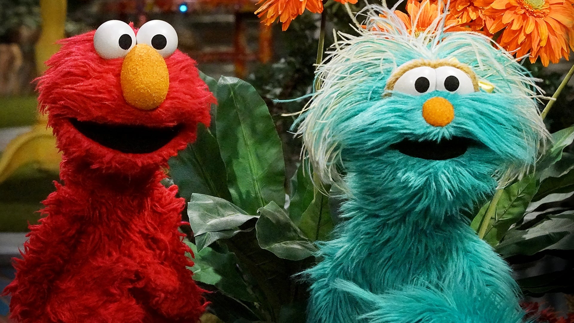 Sesame Street Staffel 47 :Folge 16 