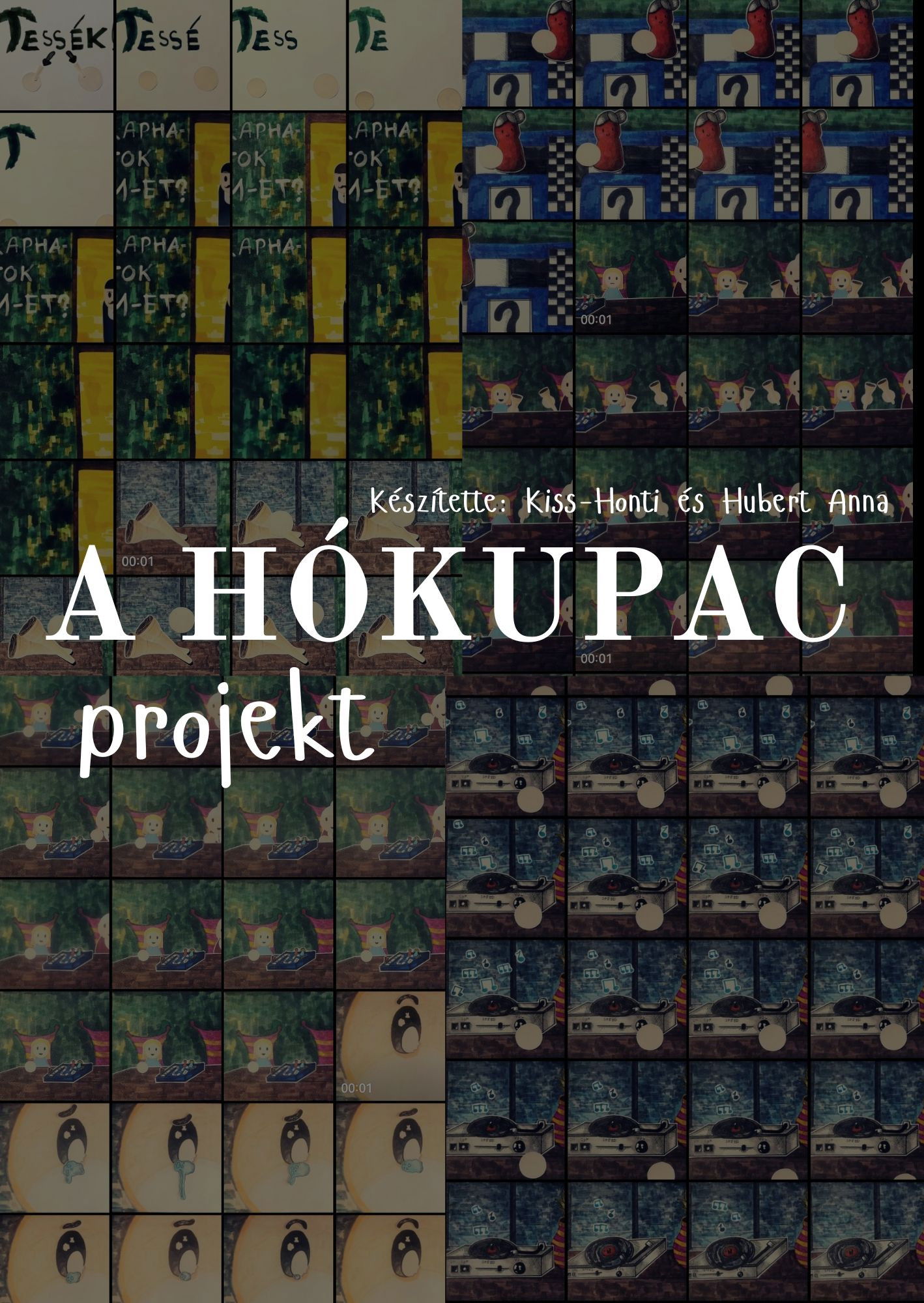 A HÓKUPAC projekt