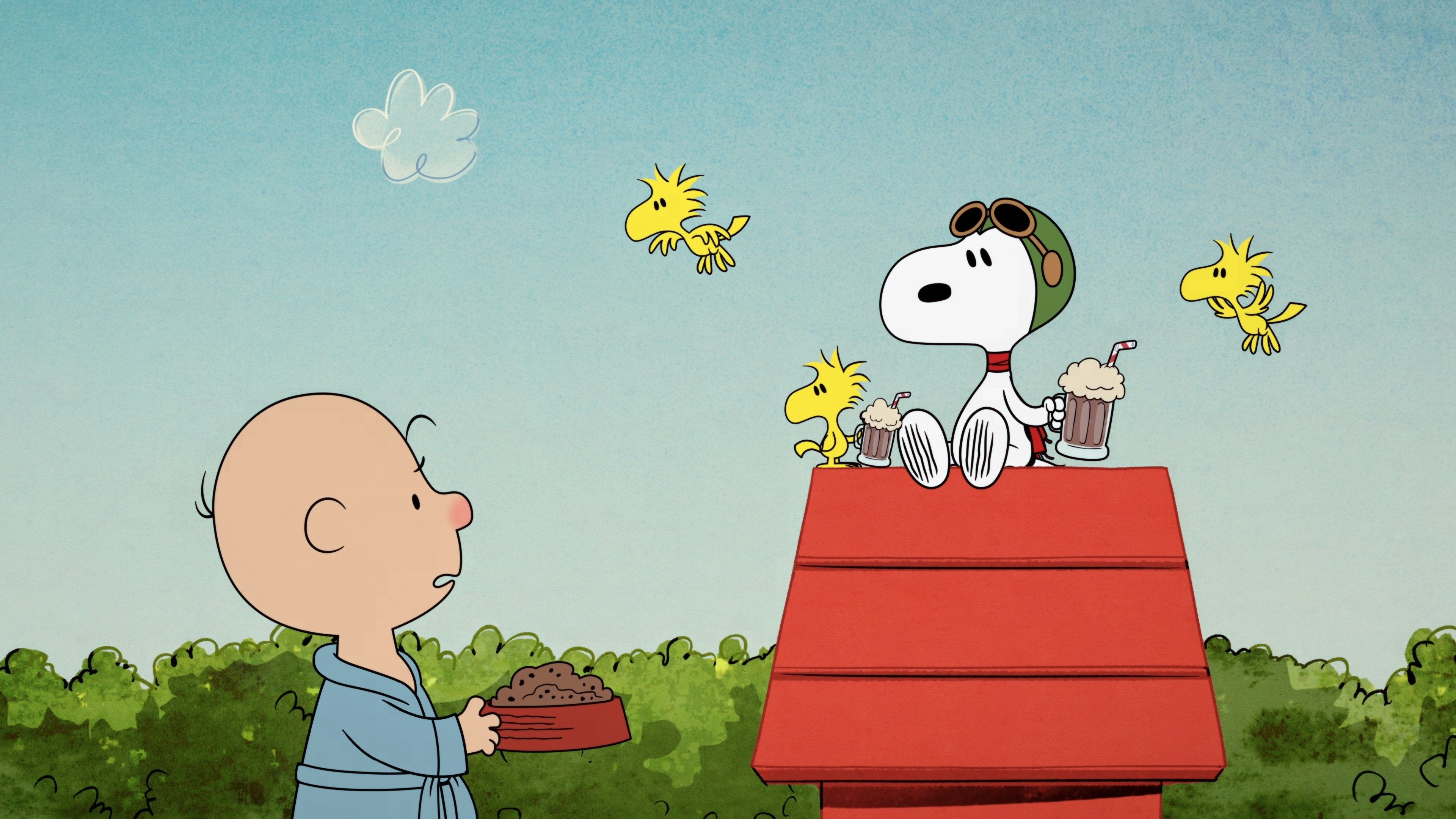 The Snoopy Show