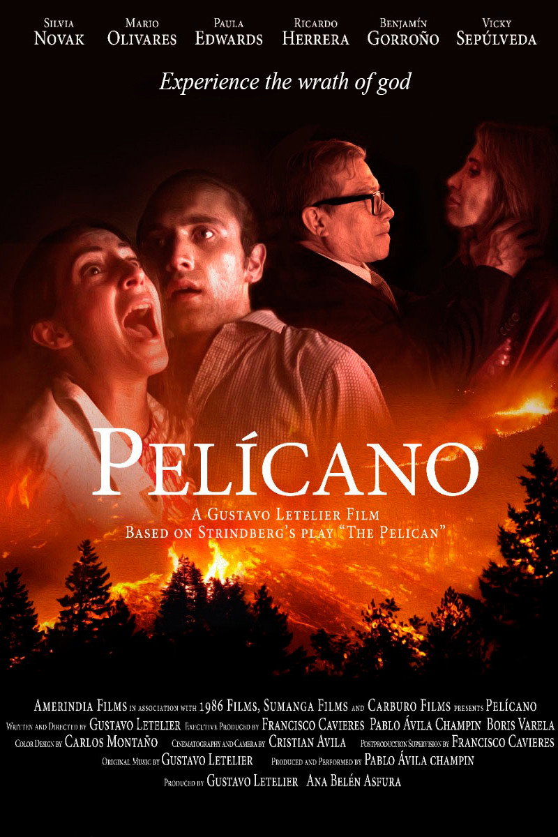 Pel&iacute;cano