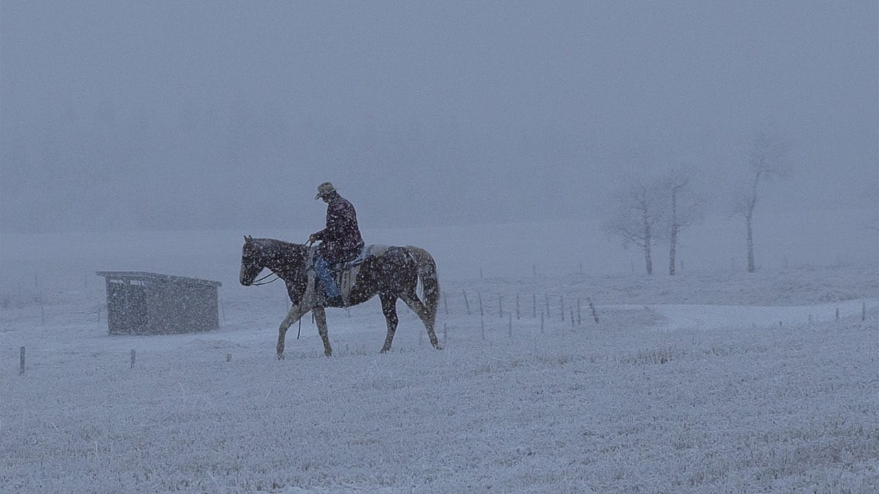 Heartland - Paradies für Pferde - Staffel 6 Folge 18 (1970)