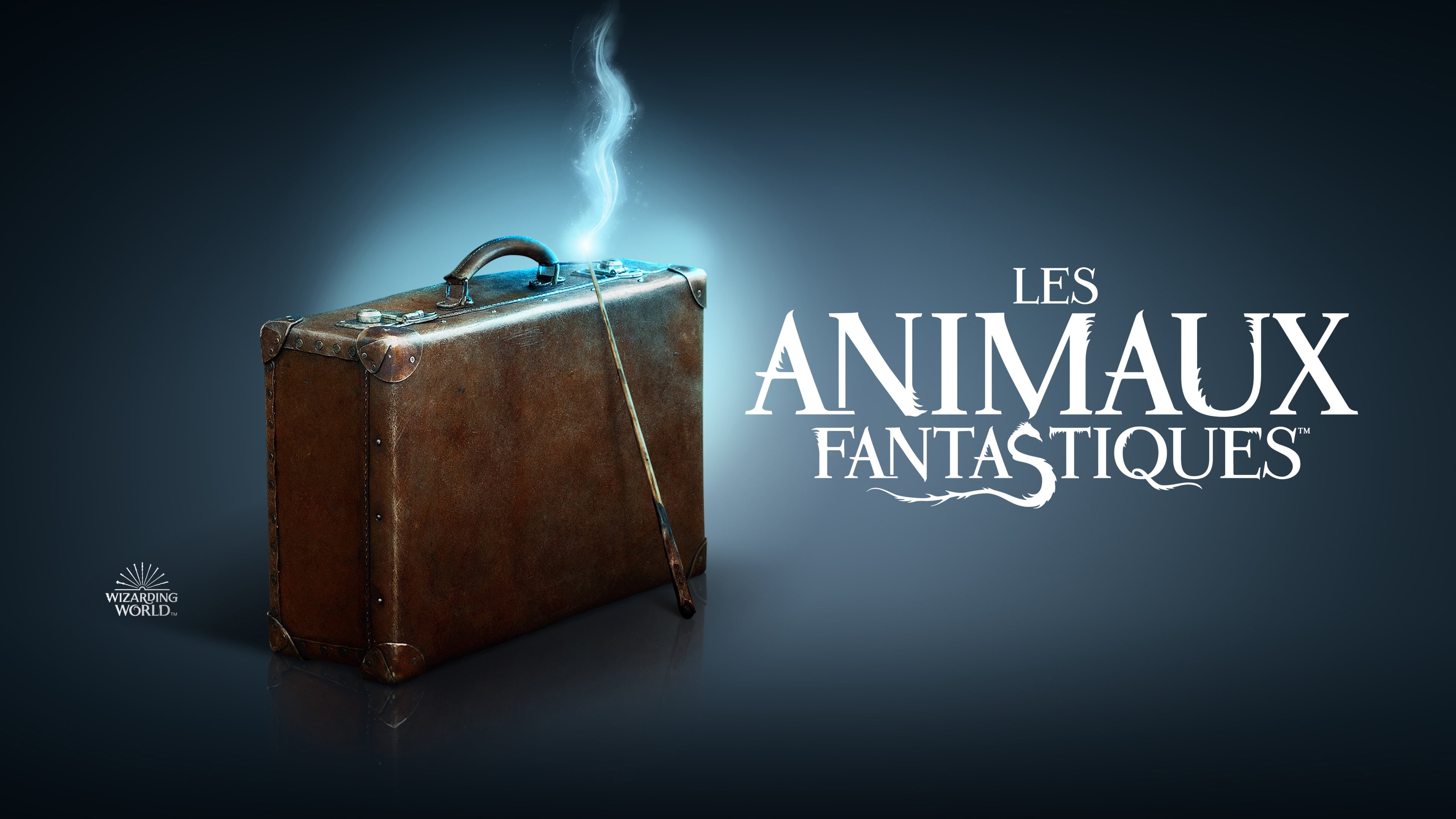 Image du film Les Animaux Fantastiques xu1sa9rnbqvxos1iooftoobxmdnjpg