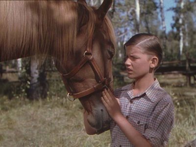 Mon amie Flicka - Le Carrosse royal