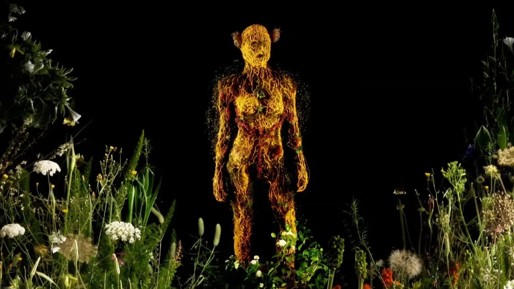 Imagem do Filme Ludi Florales