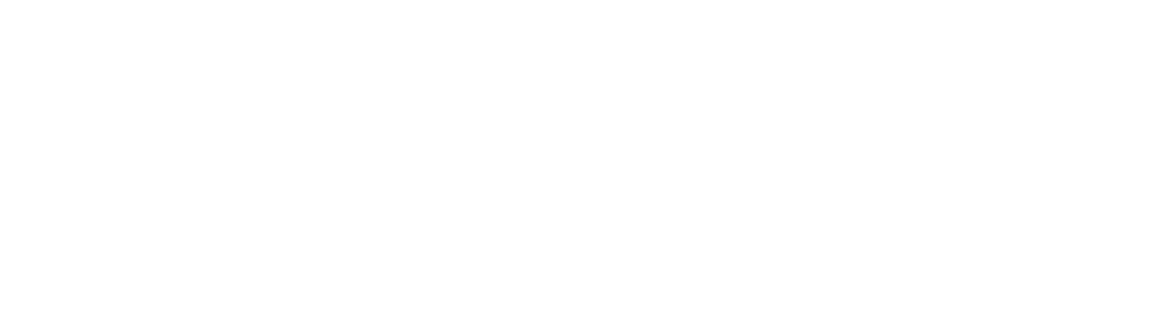 Free Willy: Escape from Pirate's Cove Logo