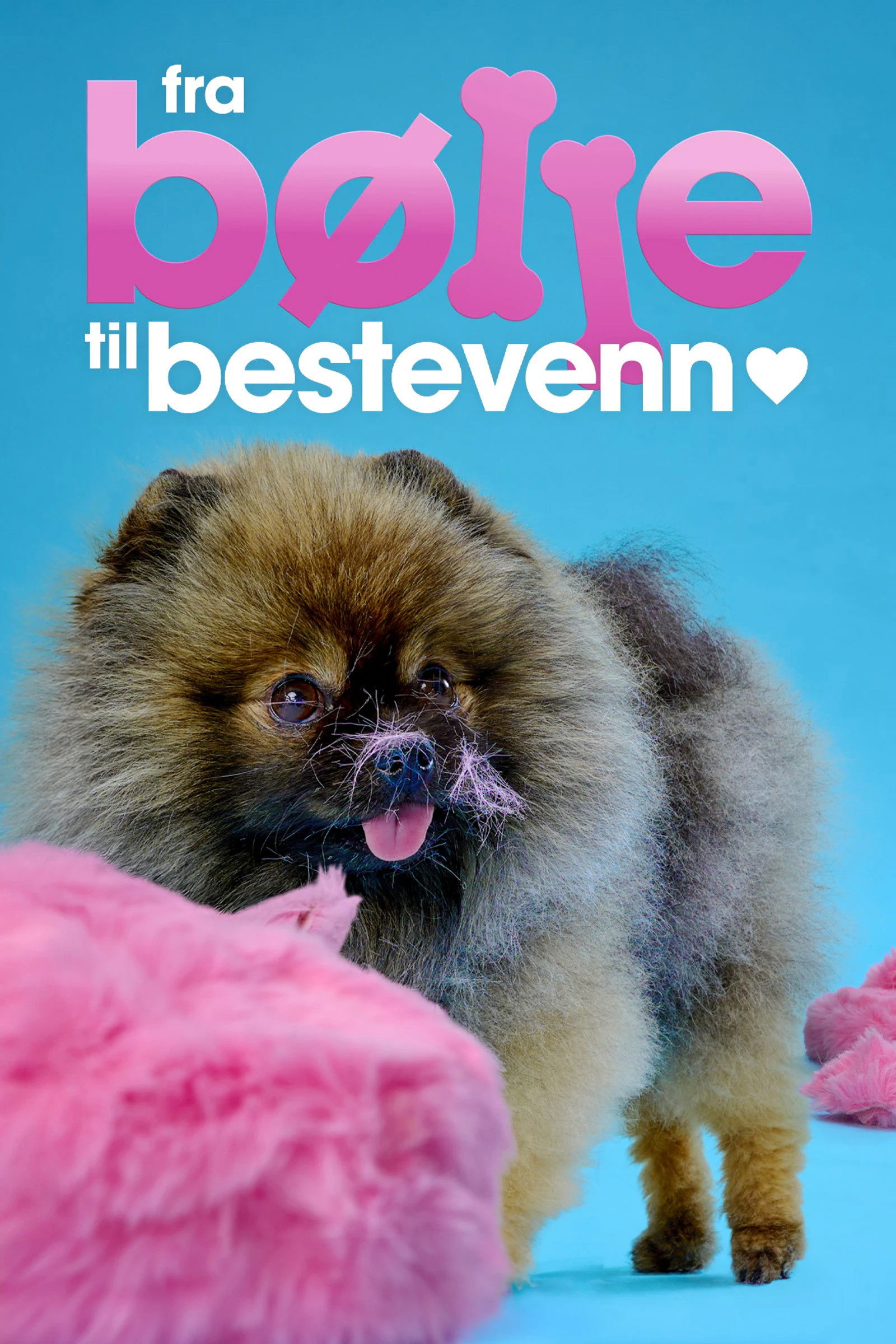 From bully to best friend - Season 4