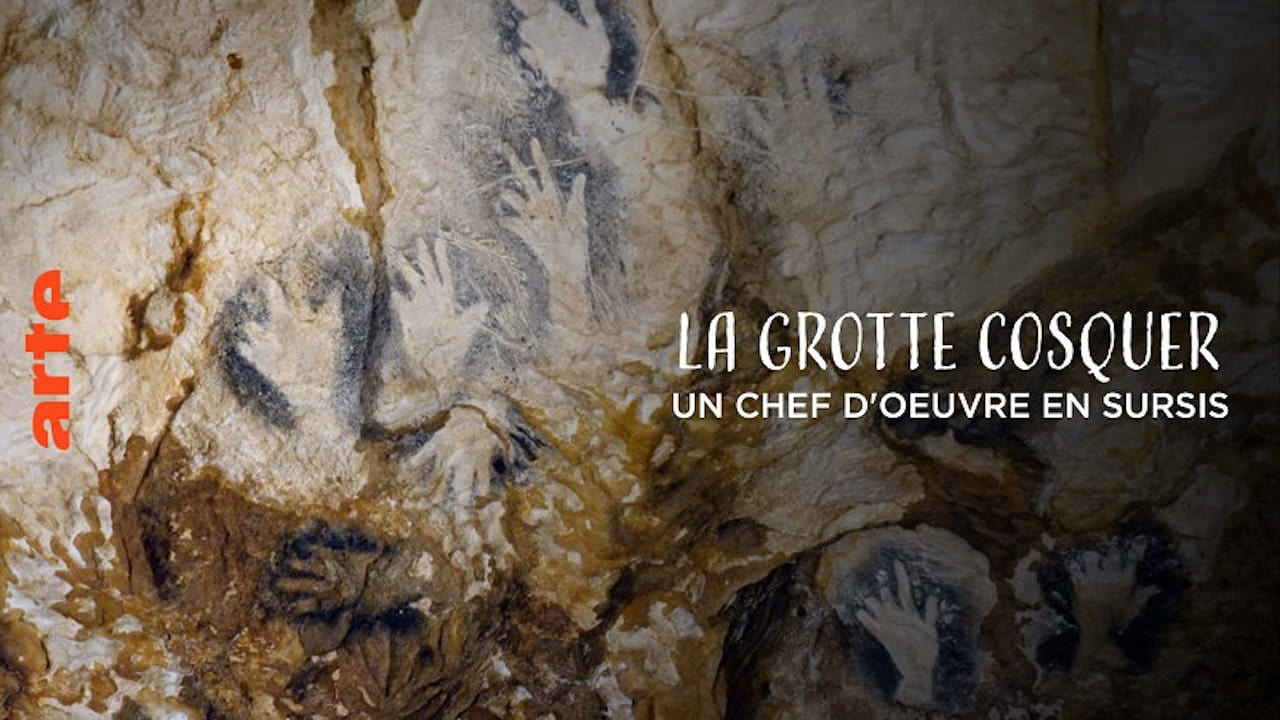 مترجم أونلاين و تحميل La Grotte Cosquer, un chef-d’oeuvre en sursis 2022 مشاهدة فيلم