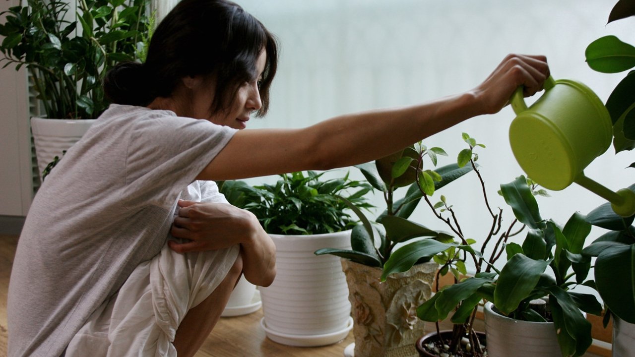 Vegetarian (2010)
