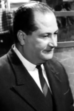 et billede af Nikos Tsoukalas