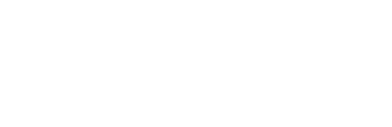 Into The Ring Logo