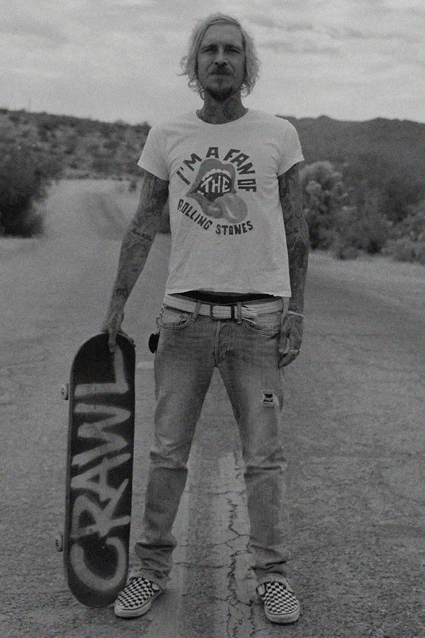 et billede af Ragdoll