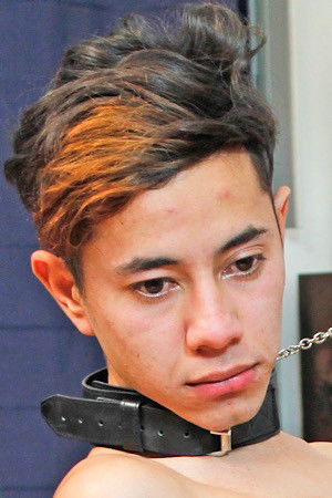 et billede af Pierce